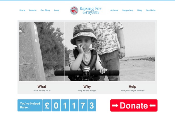 raisingforgrayson.co.uk site used Danko