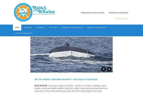 Clean-retina-pro theme site design template sample