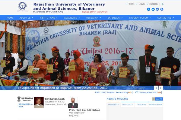 Site using Brankic Social Media Widget plugin