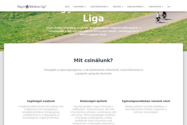 Site using Table of Contents Plus plugin