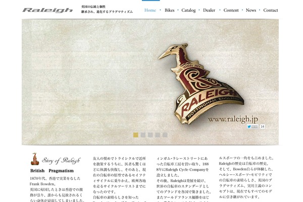 raleigh WordPress theme, websites list used raleigh theme raleigh theme websites examples