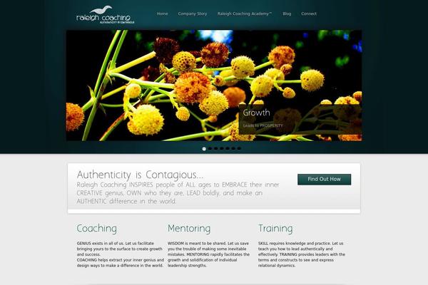 Site using Facebook plugin