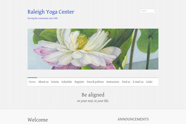 Clean Retina theme site design template sample