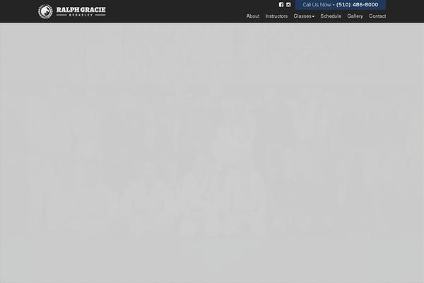 Site using WP Vegas plugin
