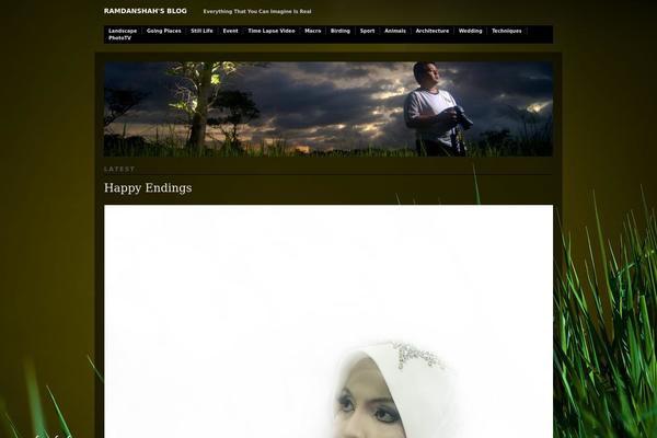 Modularity Lite theme site design template sample