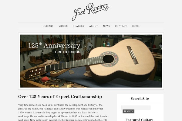 Ramirez theme websites examples