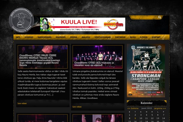 Site using WORDPRESS VIDEO GALLERY plugin