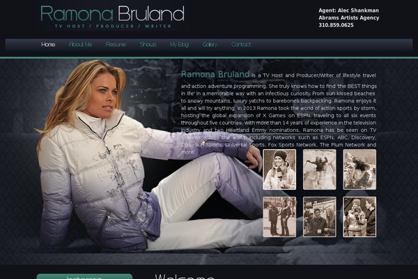 Site using Category Posts Widget plugin