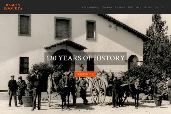 Site using SVG Support plugin