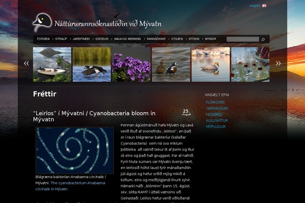 WordPress website example screenshot