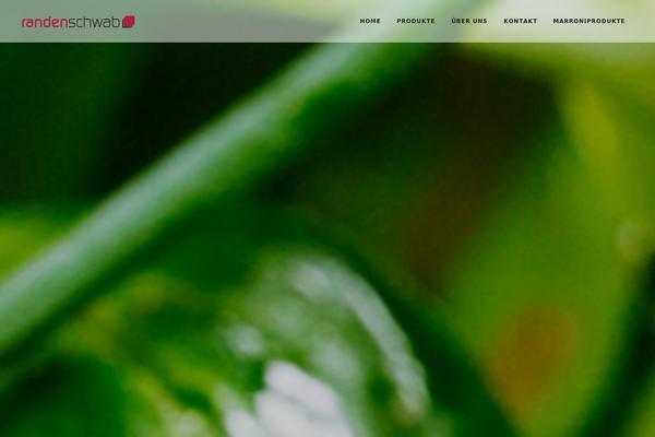 Bridge theme site design template sample