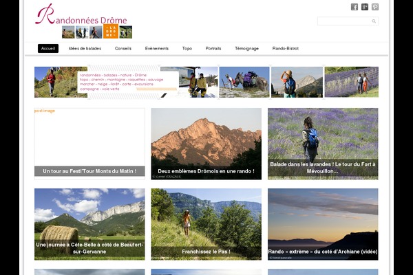 SimpleGrid theme site design template sample