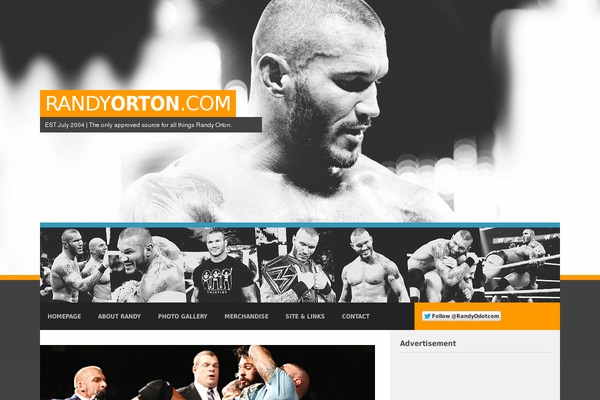 V4 theme site design template sample