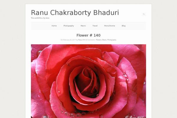 Origami theme site design template sample