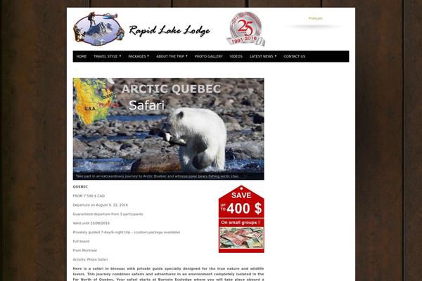 Vibrant theme site design template sample