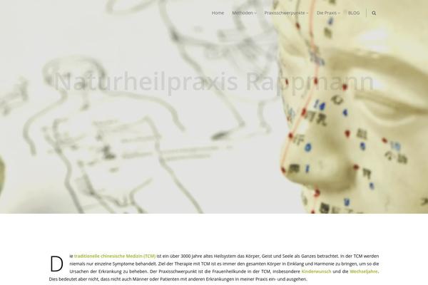Camyno theme site design template sample