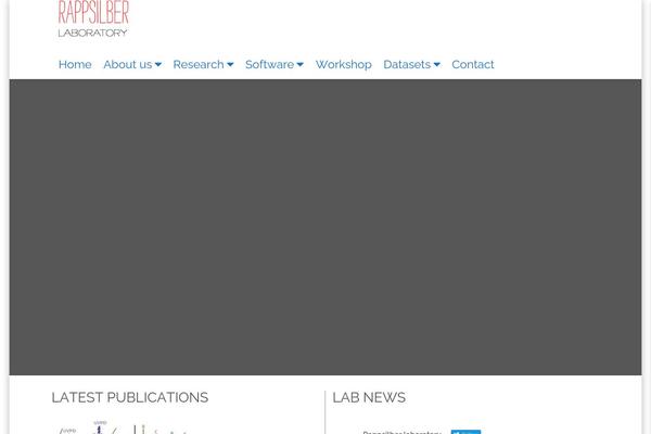 MF theme site design template sample