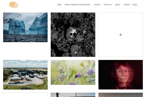 Shade theme site design template sample
