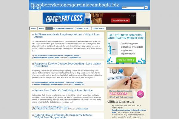 Site using Advanced Random Posts Widget plugin