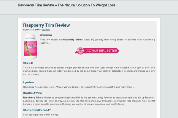 Focus theme site design template sample