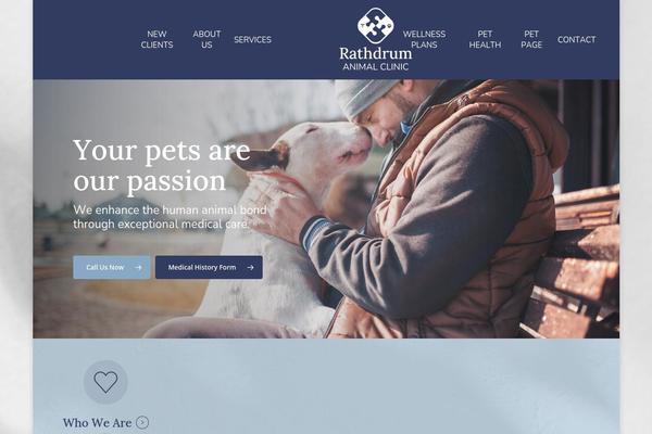 Site using Lifelearn-accessibility plugin