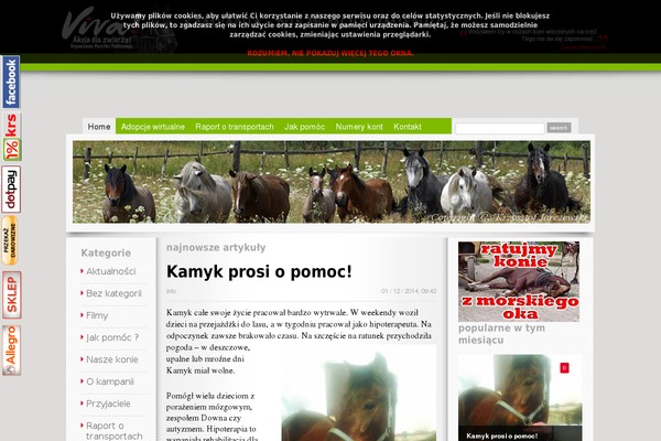 Site using Anthemes-reviews plugin
