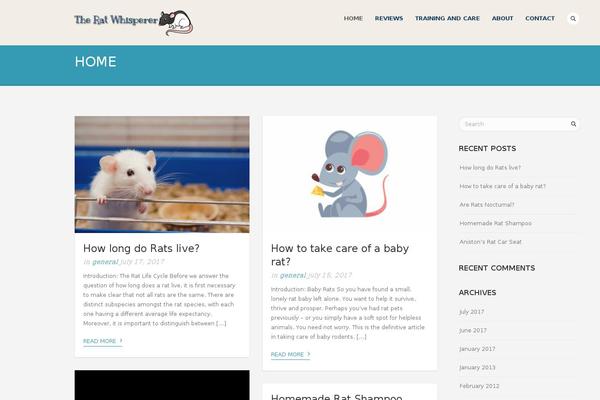 Porcelain theme site design template sample