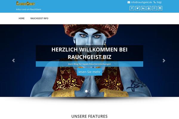 Enigma theme site design template sample
