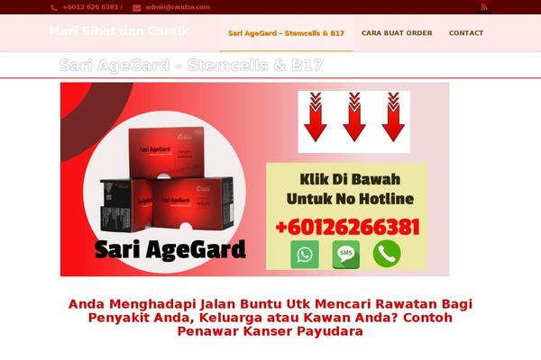 raudza.com site used Prostyler