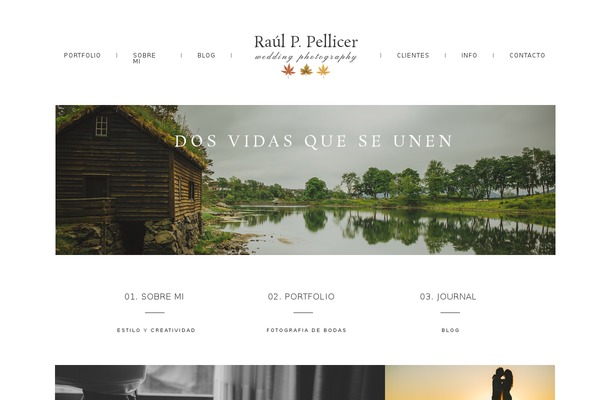 ProPhoto 5 theme site design template sample