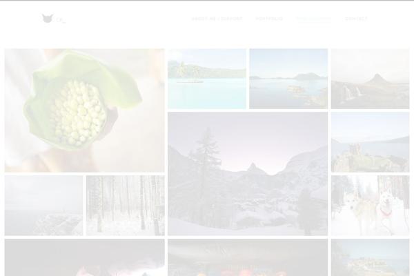 Site using Delicious-addons-dazzle plugin