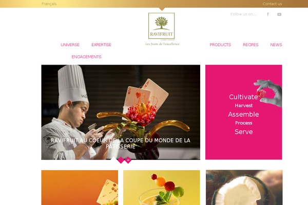 Salient theme site design template sample