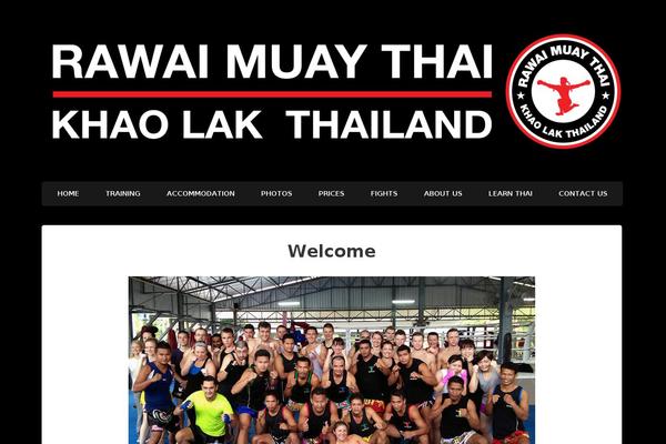 Simple Shop theme site design template sample
