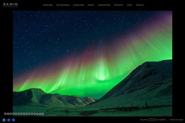 Fluxus theme site design template sample