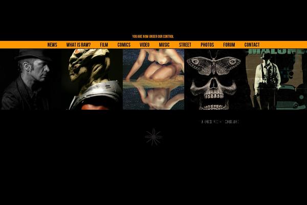Raw theme site design template sample