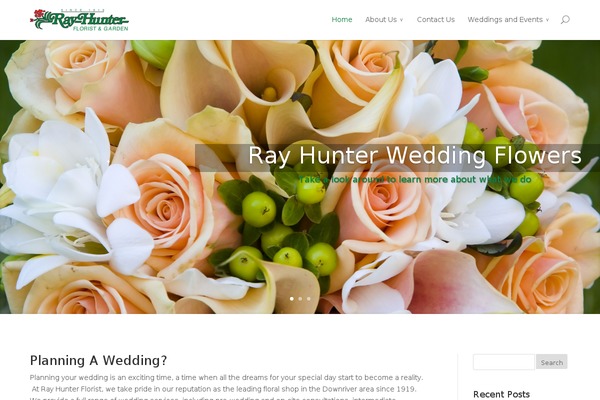 Site using Elegantbuilder plugin