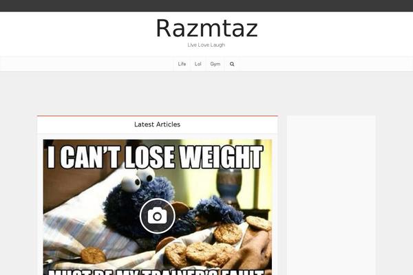 Voice theme site design template sample