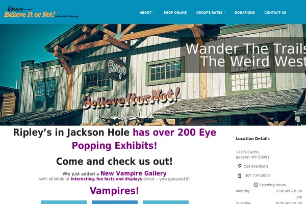 Site using All-In-One Slideshow plugin