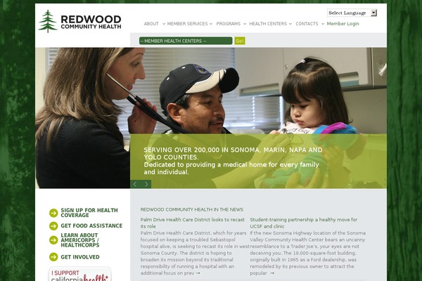 Novus theme site design template sample
