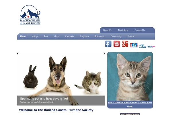 Kunco theme site design template sample