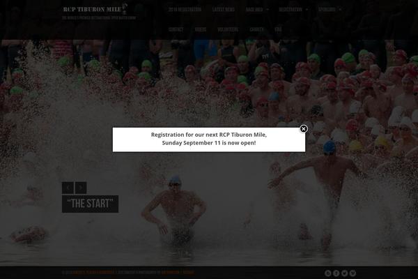 Lensa theme site design template sample
