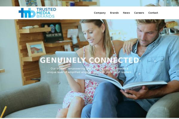 Bridge theme site design template sample