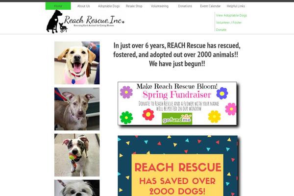 rrtheme theme websites examples