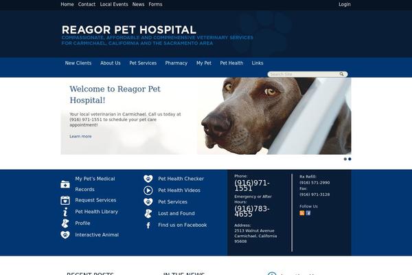 Site using Lifelearn-accessibility plugin
