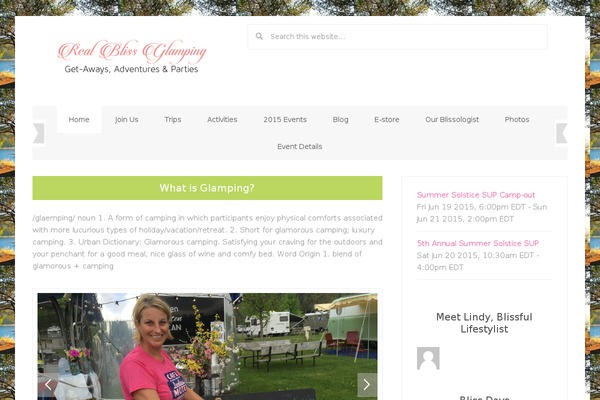 Delightful Pro theme site design template sample