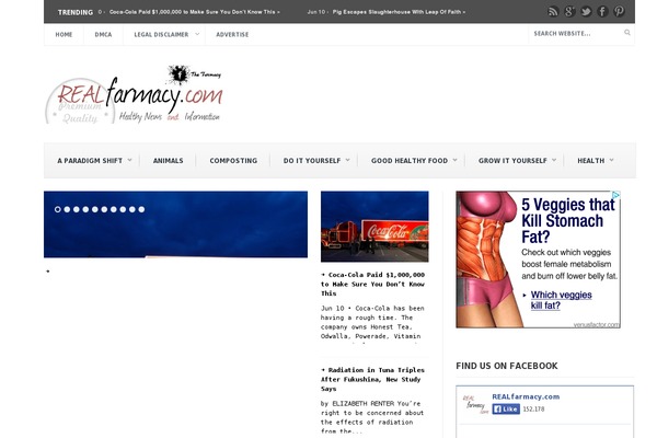 Bolid website example screenshot