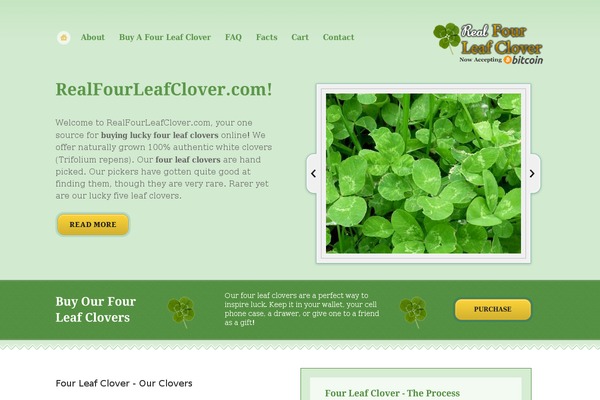 Foundation theme site design template sample
