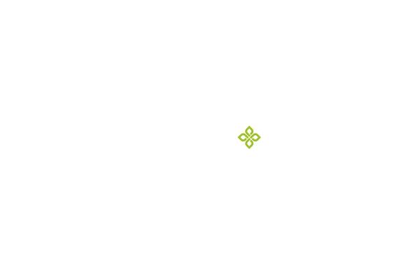 realfundus.com site used Realfondus