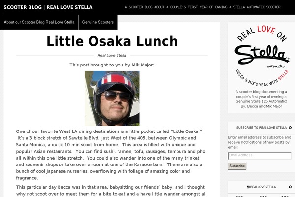 Vivid theme site design template sample