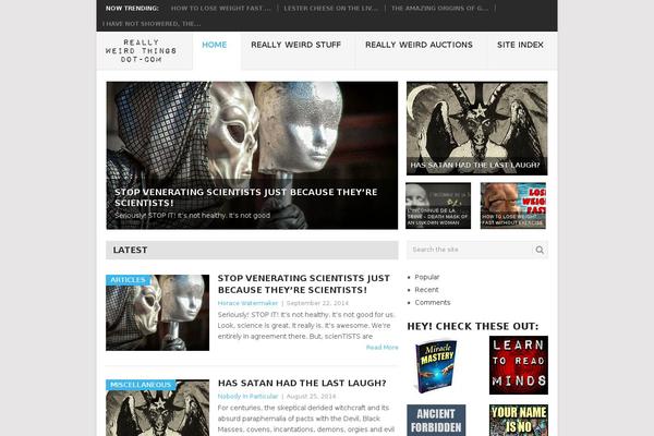 Point theme site design template sample